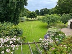 Images for Fishpond, Bridport