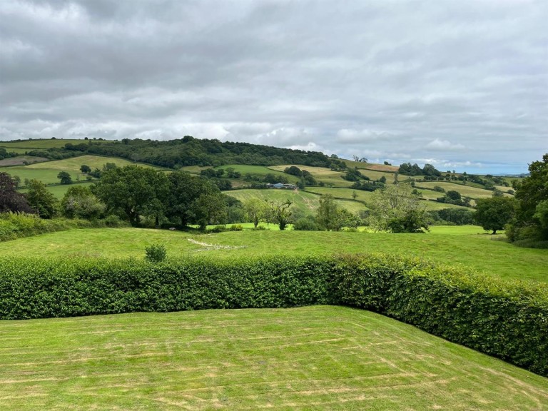 Images for Fishpond, Bridport