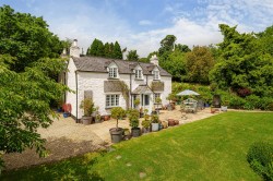 Images for Kelly, Lifton