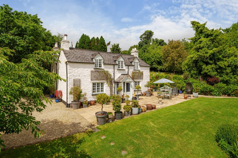 Click the photo for more details of Kelly, Lifton
