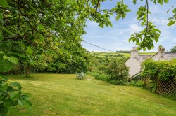 Images for Kelly, Lifton