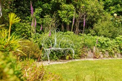 Images for Kelly, Lifton