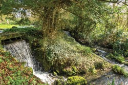 Images for Kelly, Lifton