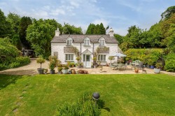 Images for Kelly, Lifton