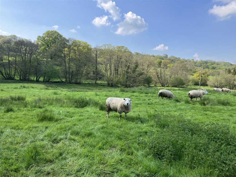 Images for Madford, Hemyock