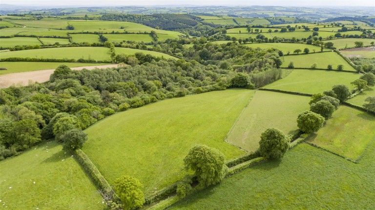 Images for Raddington, Taunton