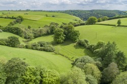 Images for Raddington, Taunton