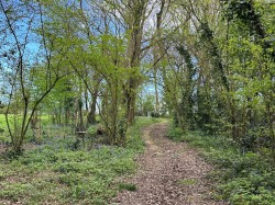 Images for Gurnard, Isle of Wight