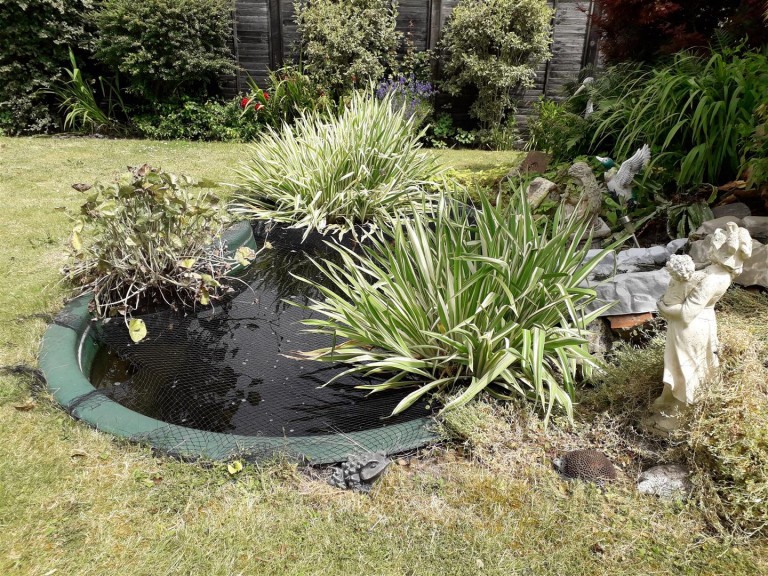 Images for Chelston Terrace, Chelston, Wellington