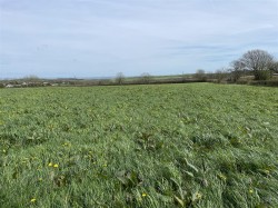 Images for Woolsery, Bideford
