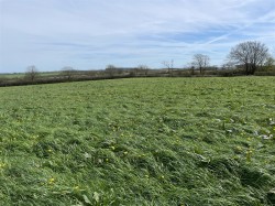 Images for Woolsery, Bideford
