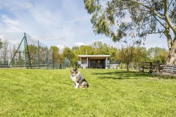 Images for East Nynehead, Wellington