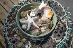 Images for Bembridge, Isle of Wight
