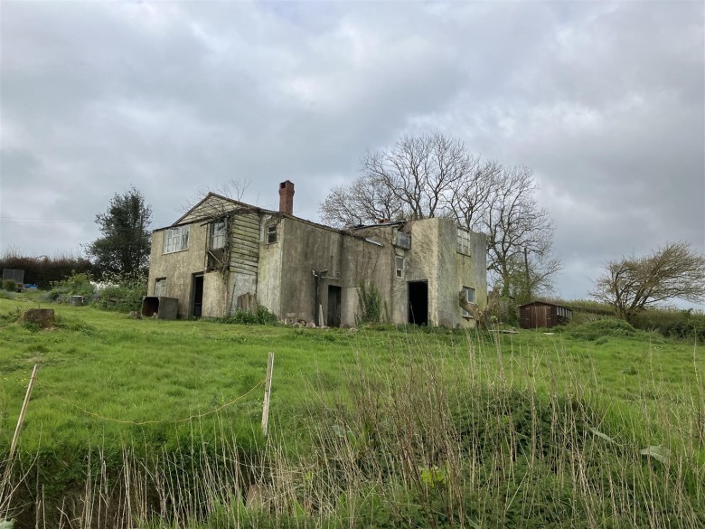 Click the photo for more details of Ashbrittle, Wellington