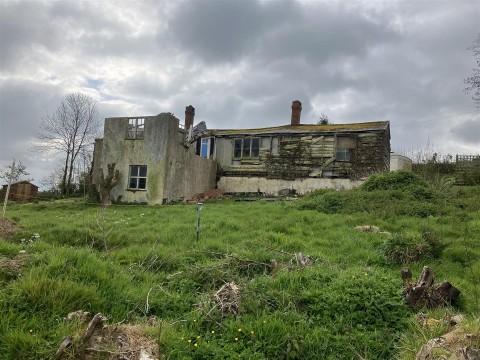 Click the photo for more details of Ashbrittle, Wellington