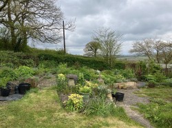 Images for Ashbrittle, Wellington