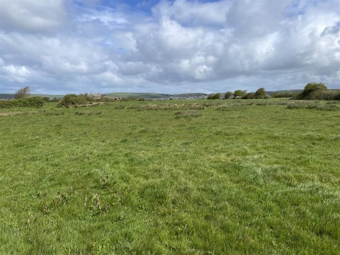 Click the photo for more details of Braunton