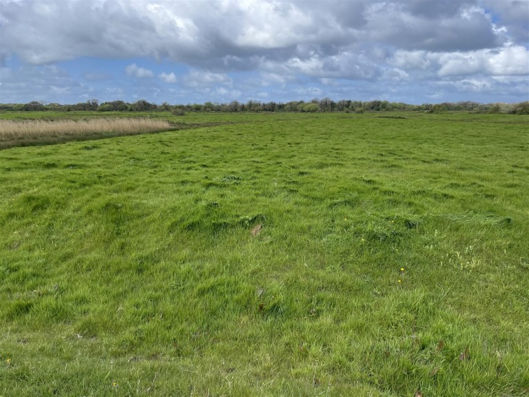 Images for Braunton