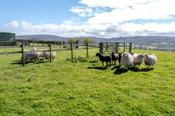 Images for Hilltop Lane, Kilve