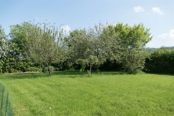 Images for West Buckland, Wellington