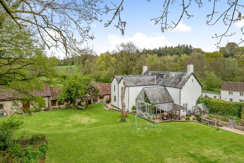 Click the photo for more details of Chardstock, Axminster