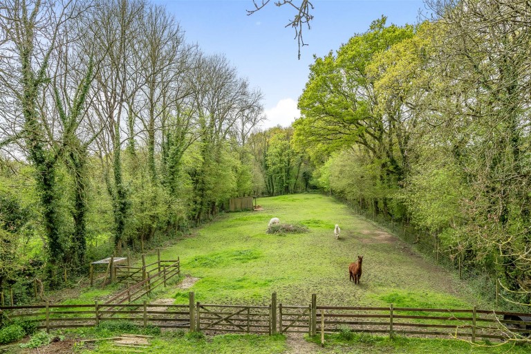 Images for Chardstock, Axminster