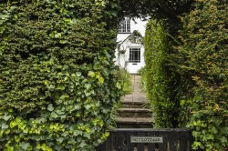 Images for Chardstock, Axminster