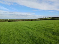 Images for Woodbury, Bude