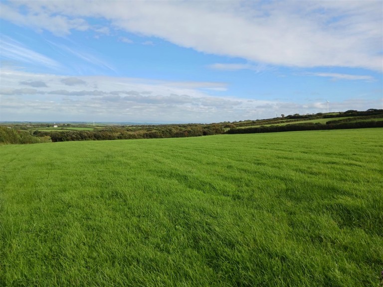 Images for Woodbury, Bude