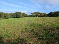 Images for Woodbury, Bude