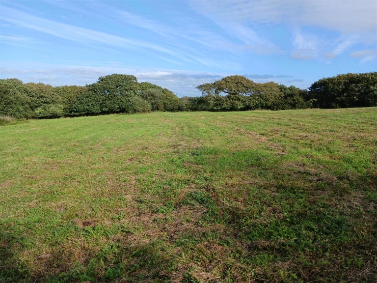 Images for Woodbury, Bude