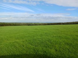 Images for Woodbury, Bude
