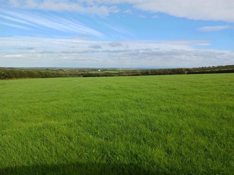 Images for Woodbury, Bude