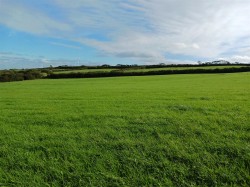 Images for Woodbury, Bude
