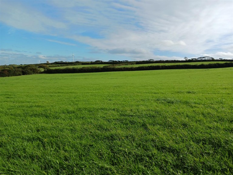 Images for Woodbury, Bude
