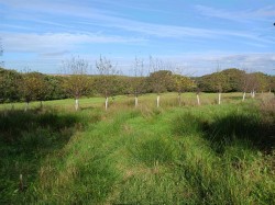 Images for Woodbury, Bude