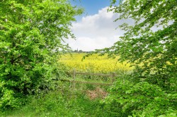 Images for New Road, Shuttington