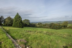 Images for Nr Axminster