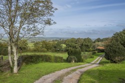 Images for Nr Axminster