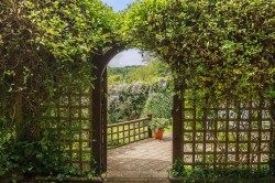 Images for Langford Budville, Wellington