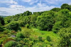 Images for Exford, Minehead