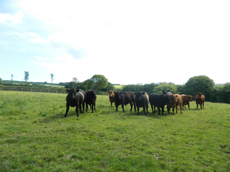 Images for Exford, Minehead