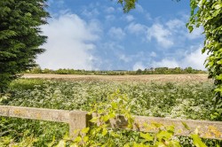 Images for High Street, Paulerspury, NN12