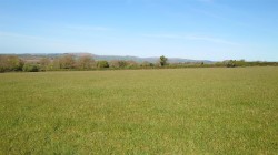 Images for Callington
