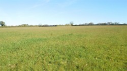 Images for Callington