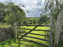 Images for North Devon