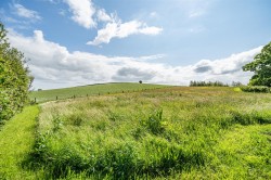 Images for Nr Stoke Abbott, Bridport