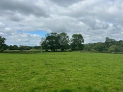 Images for Metcombe, Ottery St. Mary