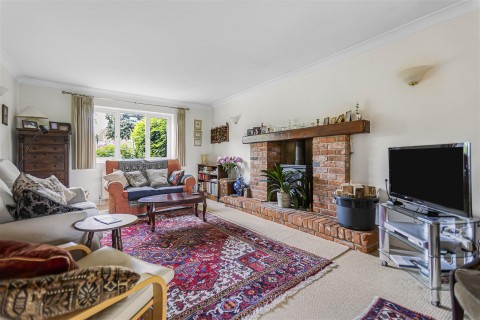 Click the photo for more details of Britwell Salome