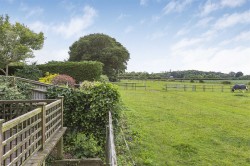 Images for Britwell Salome